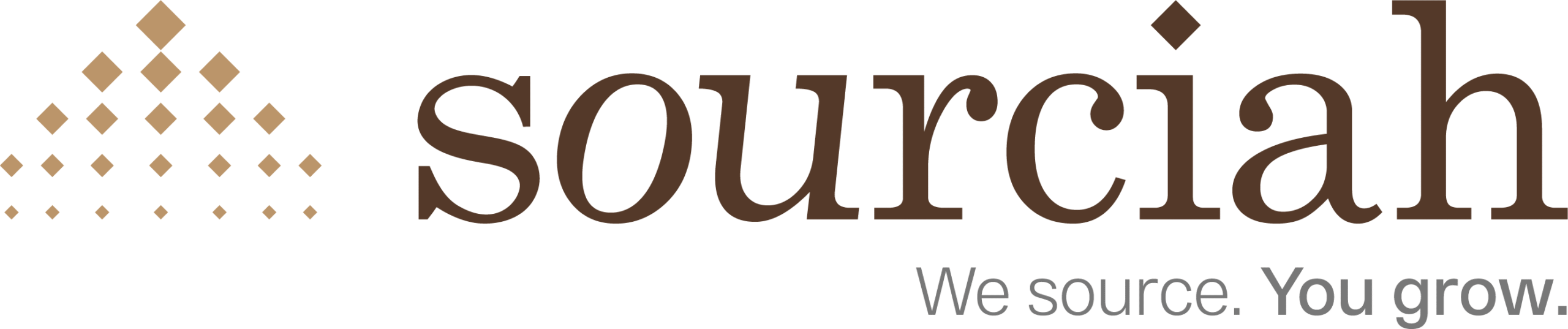 SOURCIAH – الاستشارات التوظيفية والبحث التنفيذي